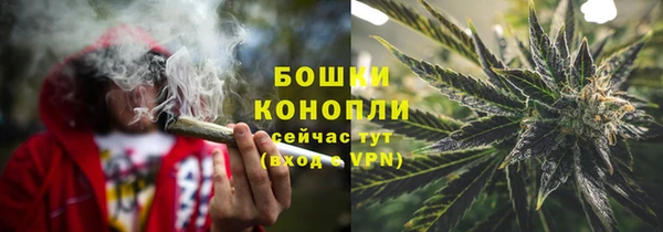 apvp Богородицк