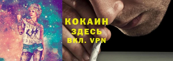 apvp Богородицк